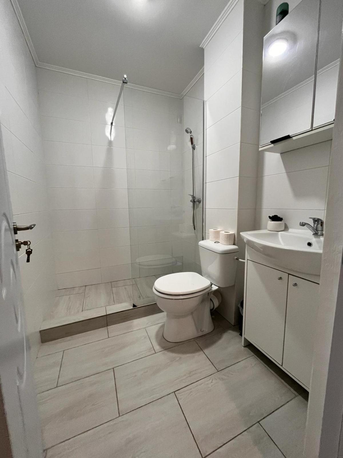 White & Silver Luxury Apartament Craiova Exterior photo